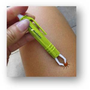 Produktbild von EASYZECKENZANGE